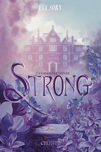 Couverture de « Strong - La Chambre Noire »