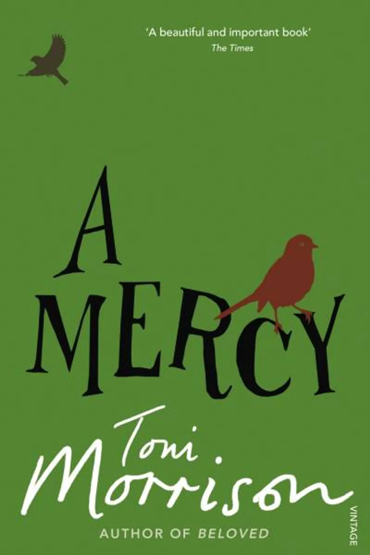 Couverture de « A Mercy »