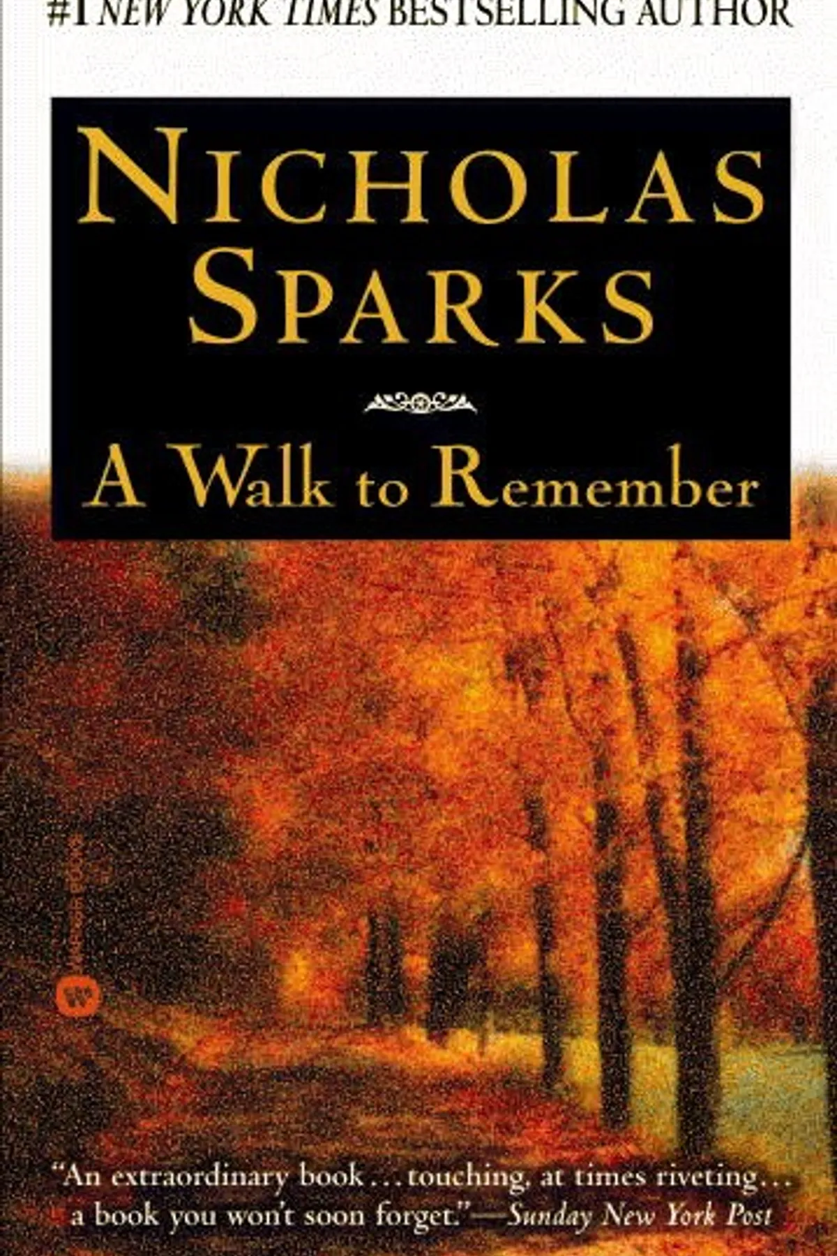 Couverture de « A Walk to Remember »