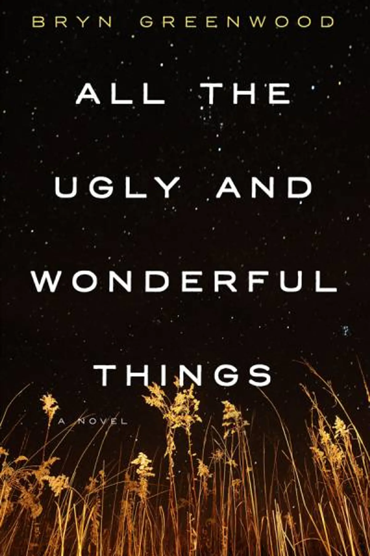 Couverture de « All the Ugly and Wonderful Things »
