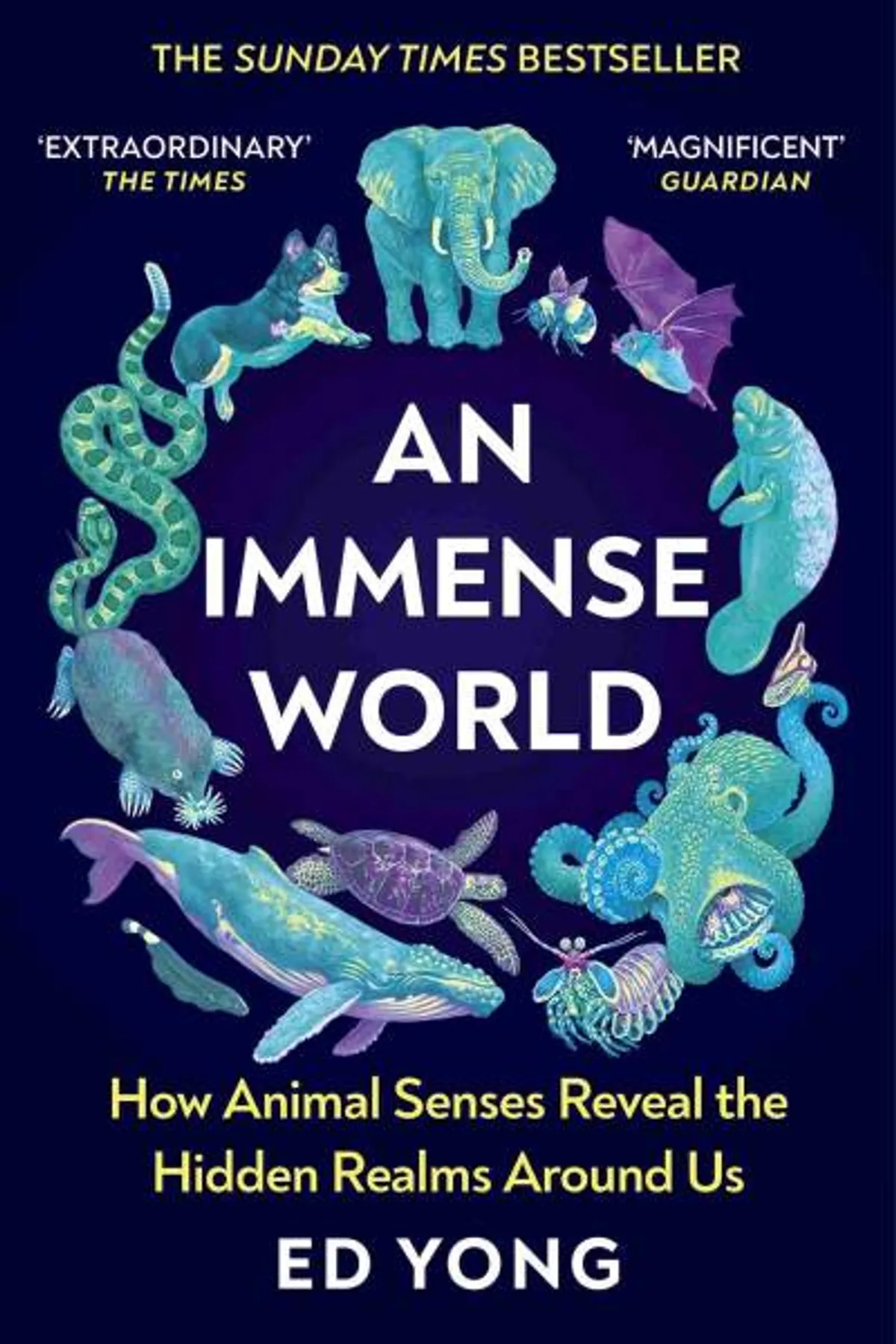 Couverture de « An immense world : how animal senses reveal the hidden realms around us »