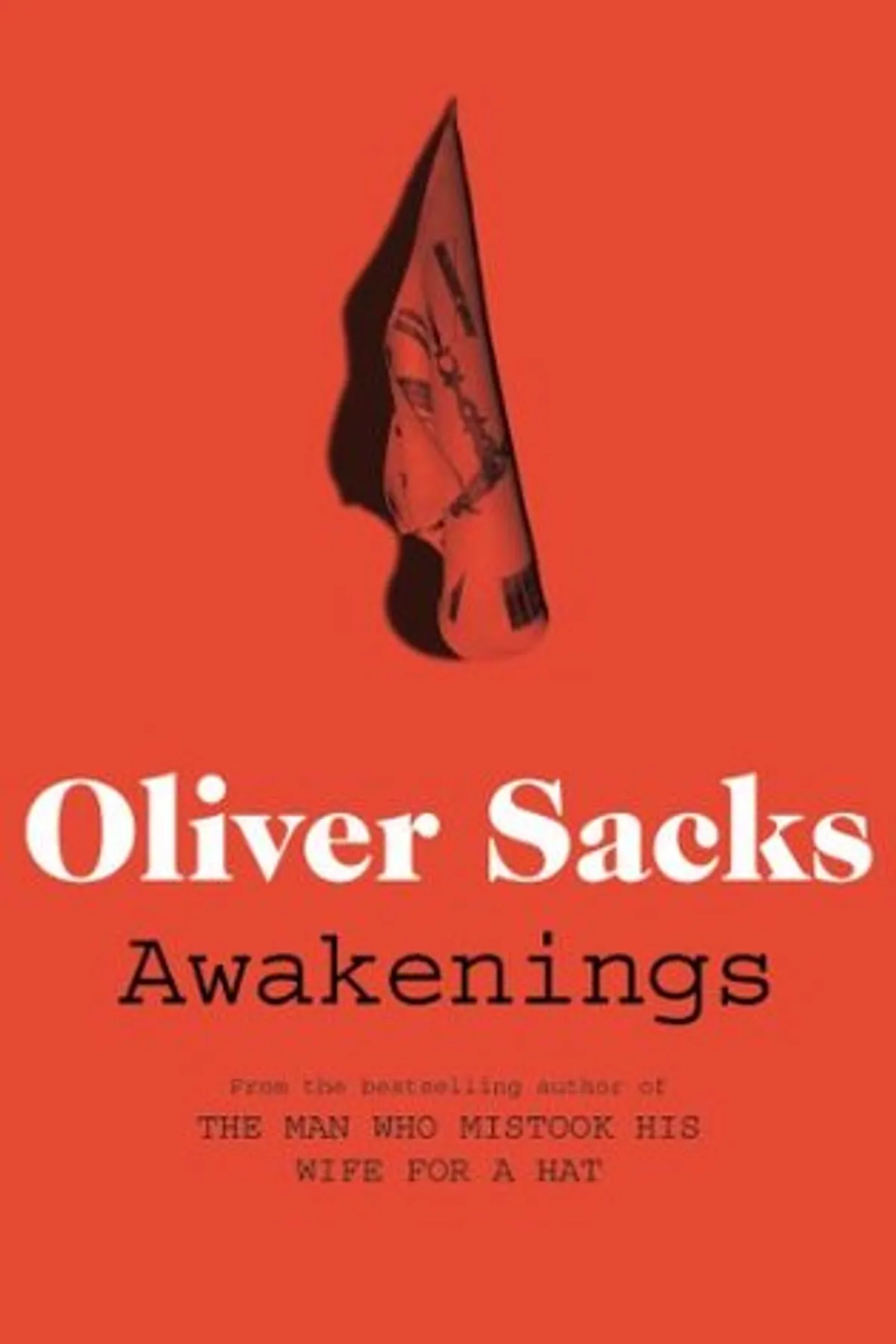 Couverture de « Awakenings »