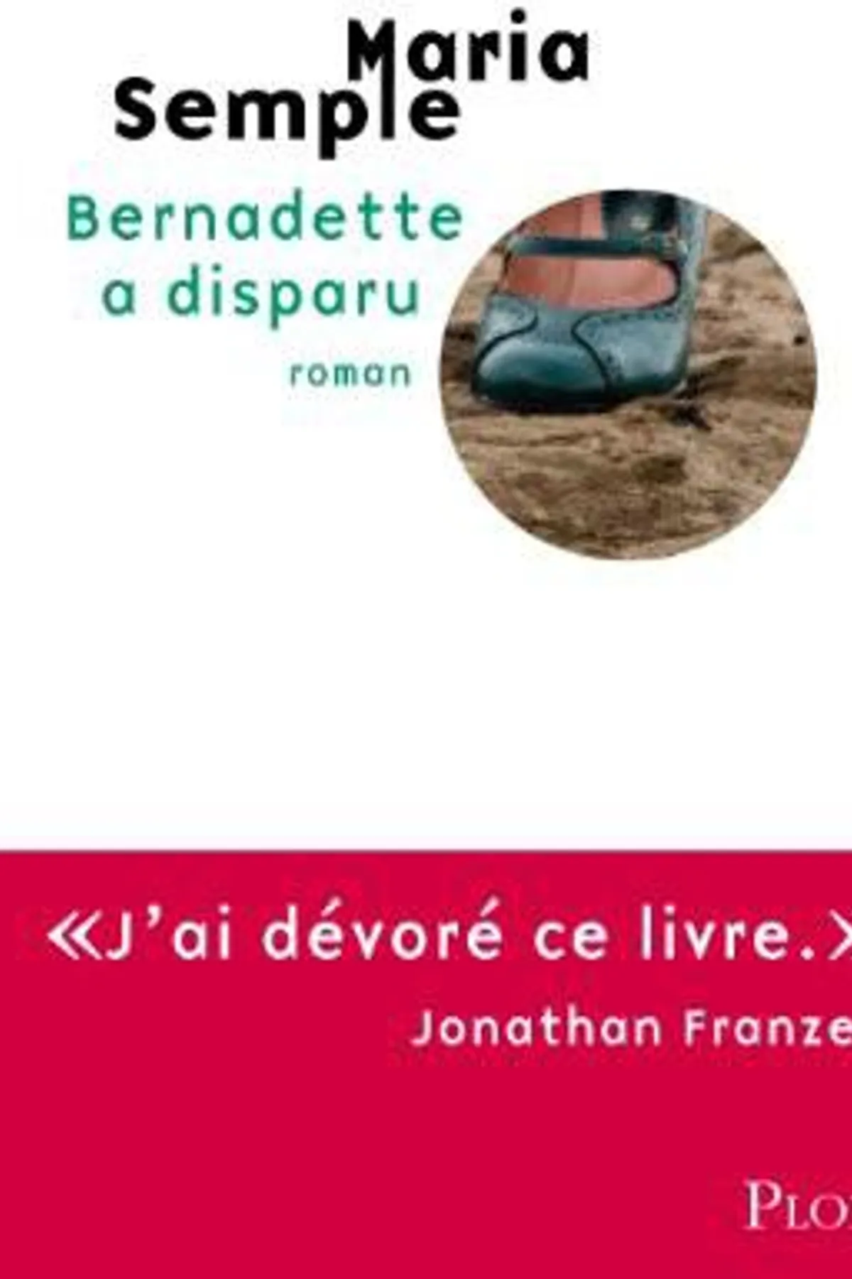 Couverture de « Bernadette a disparu »