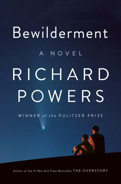 Couverture de « Bewilderment »