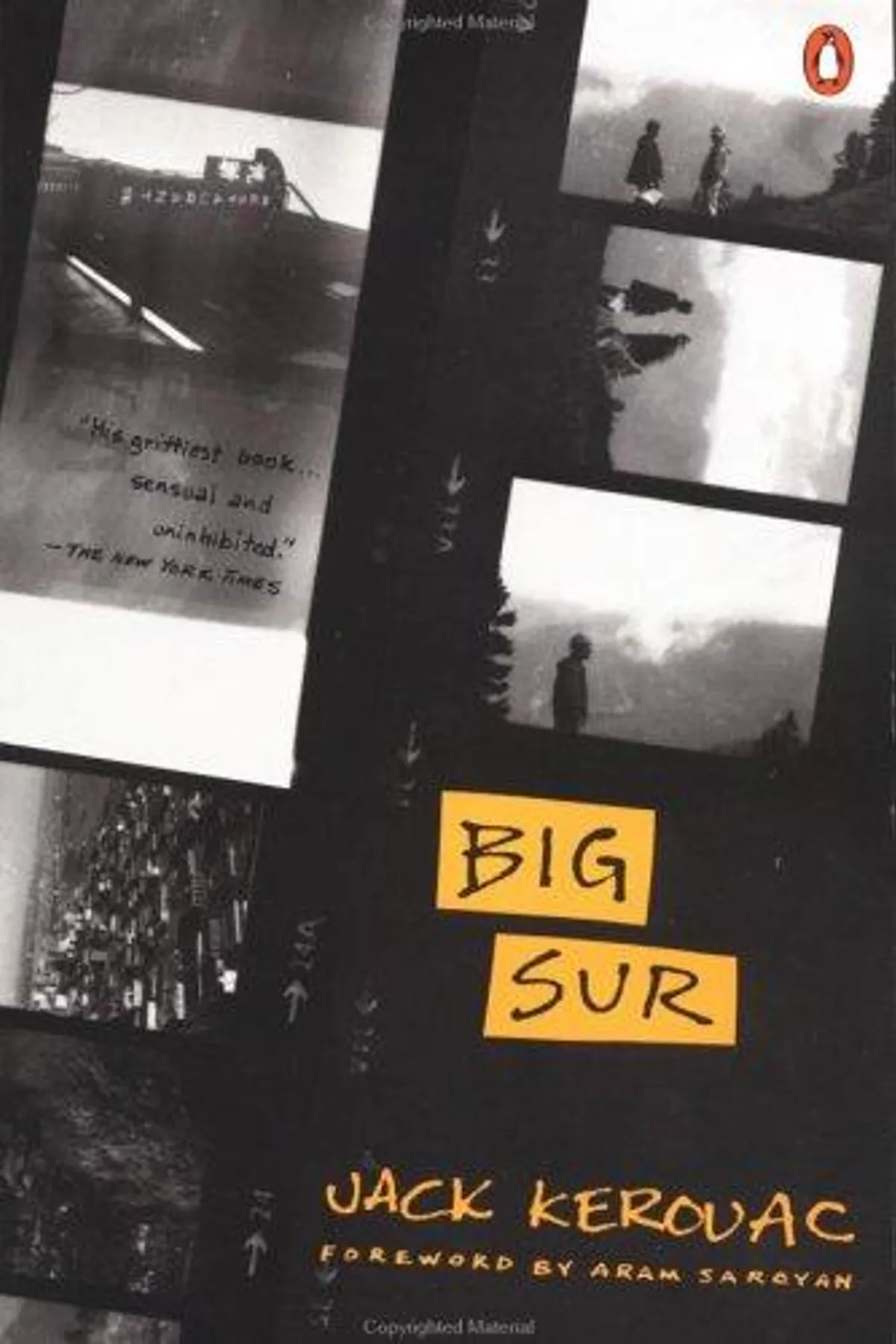 Couverture de « Big Sur »
