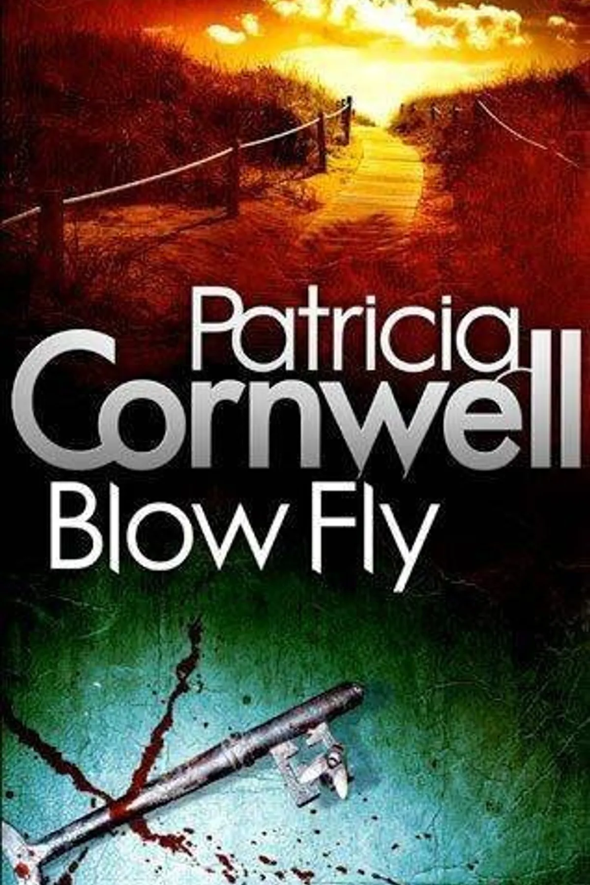 Couverture de « Blow Fly »