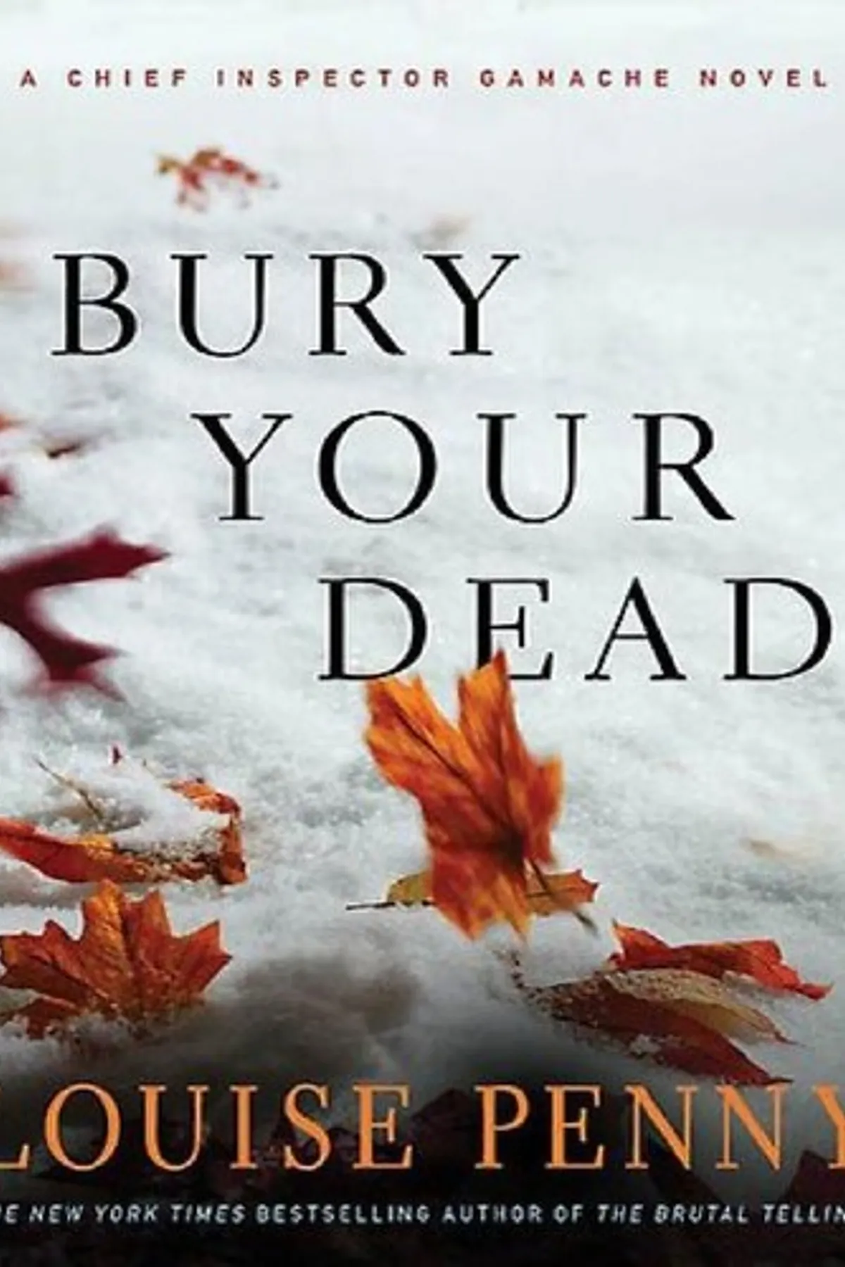Couverture de « Bury Your Dead »