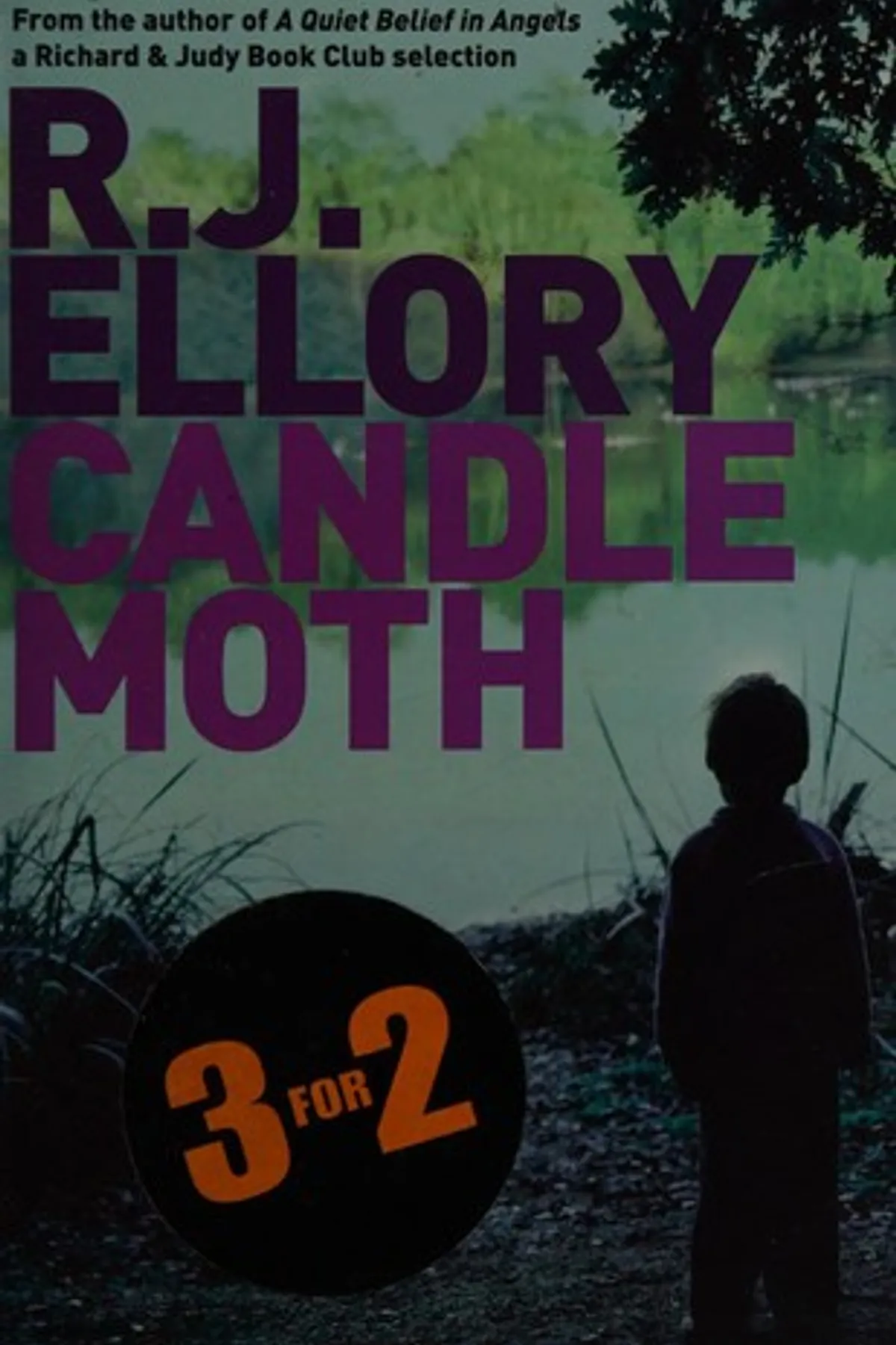 Couverture de « Candlemoth »