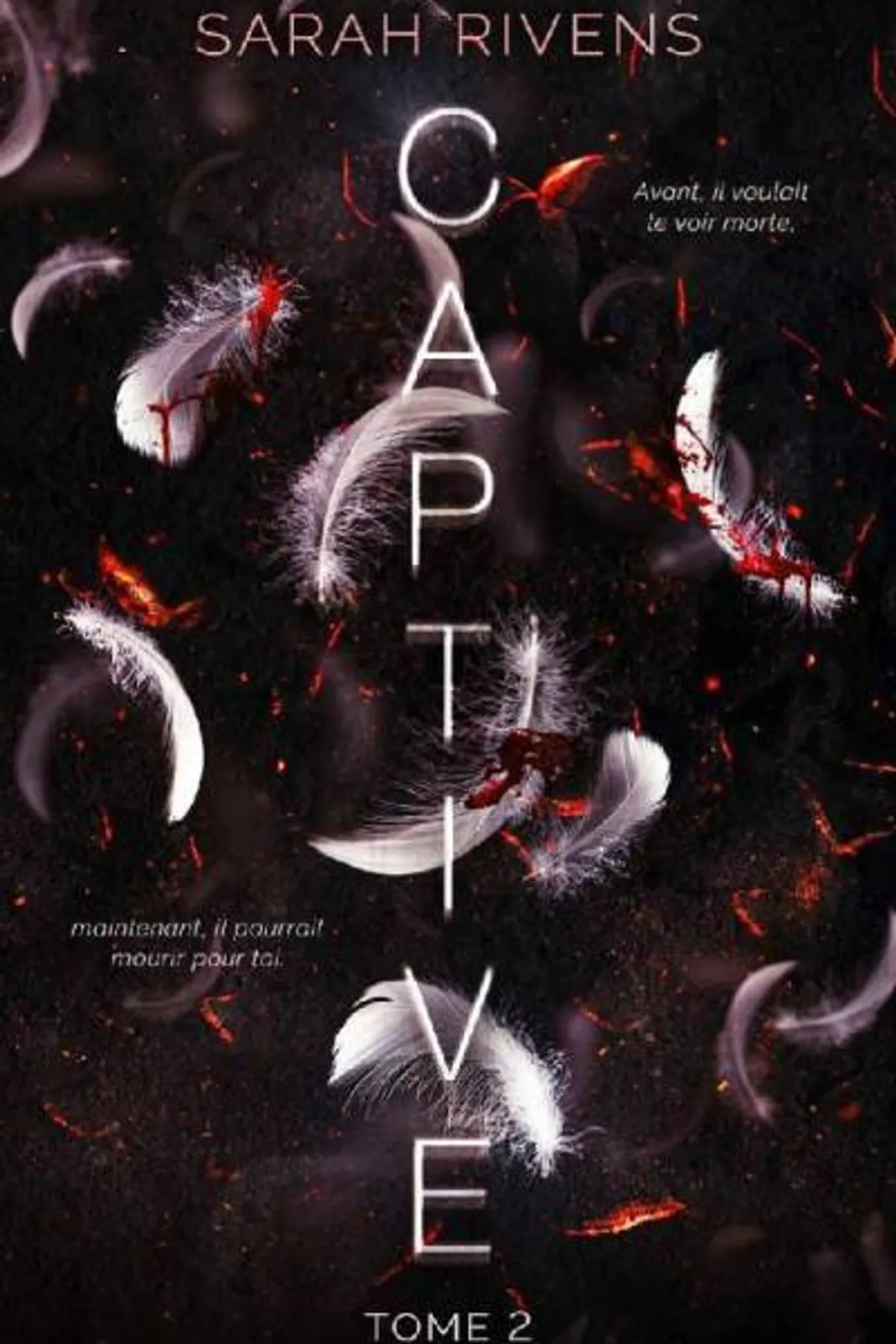 Couverture de « Captive - tome 2 »