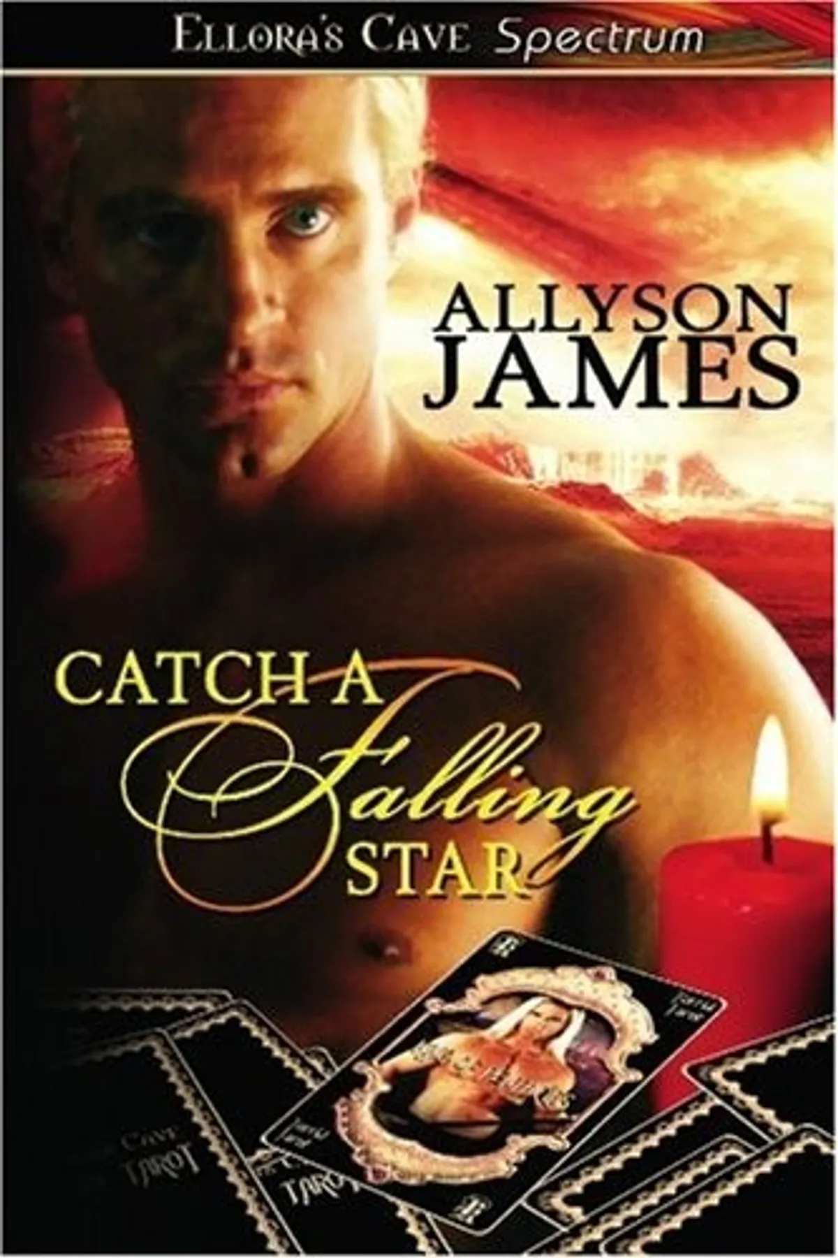 Couverture de « Catch a Falling Star »