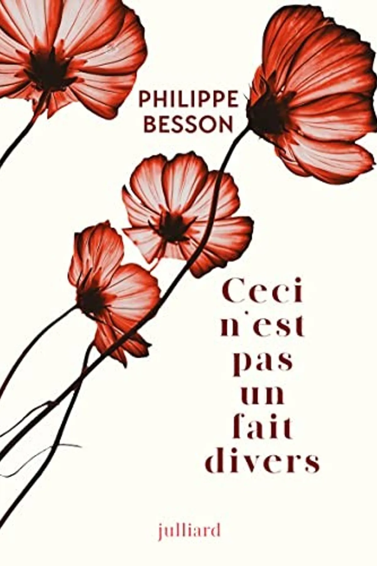 Couverture de « Ceci n'est pas un fait divers »