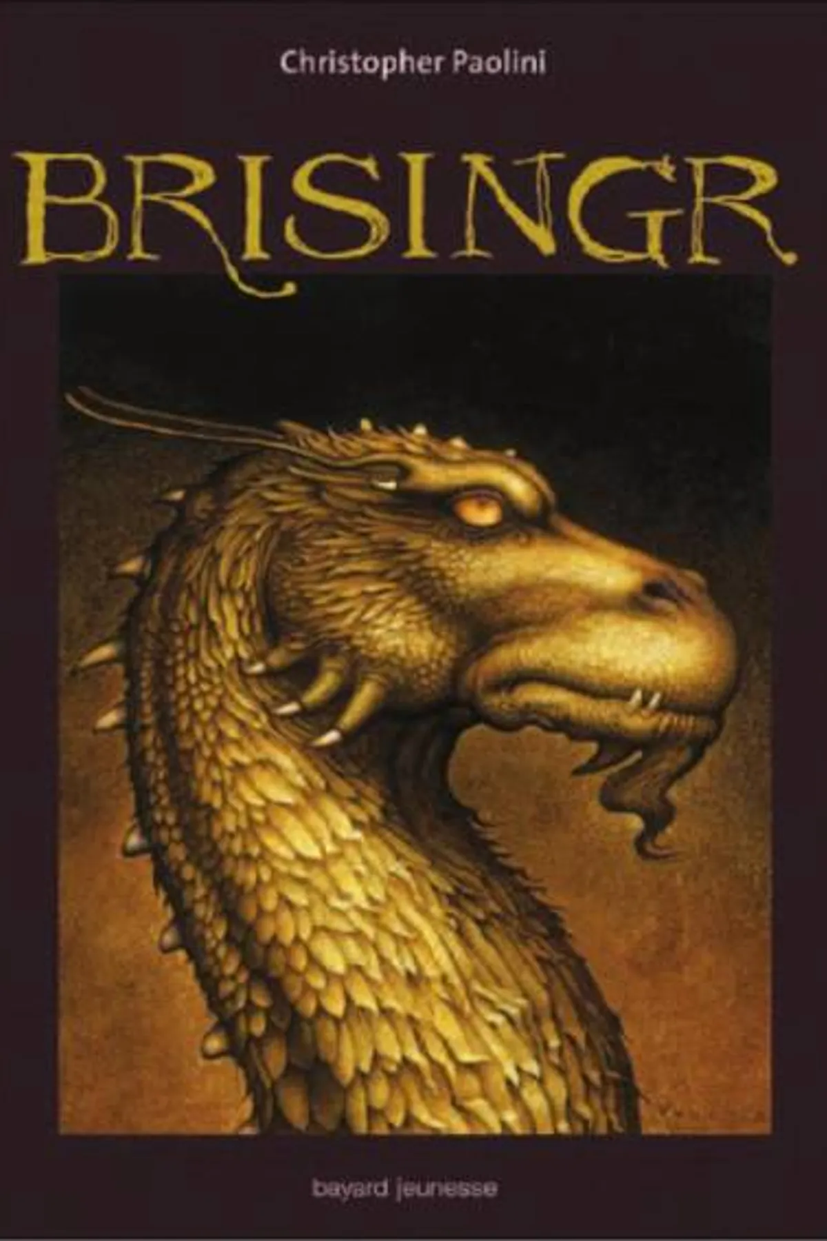 Couverture de « Brisingr »