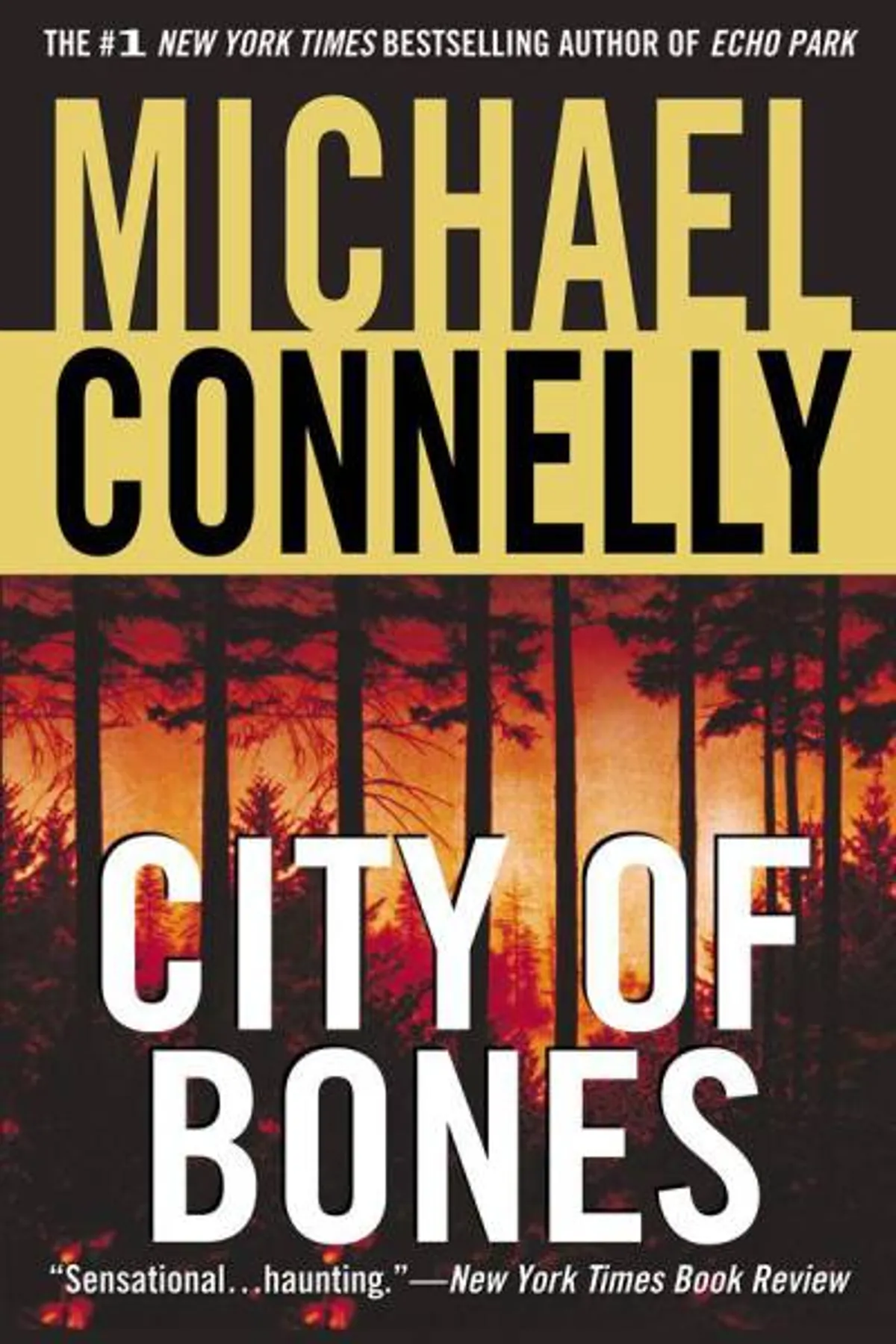 Couverture de « City of Bones »