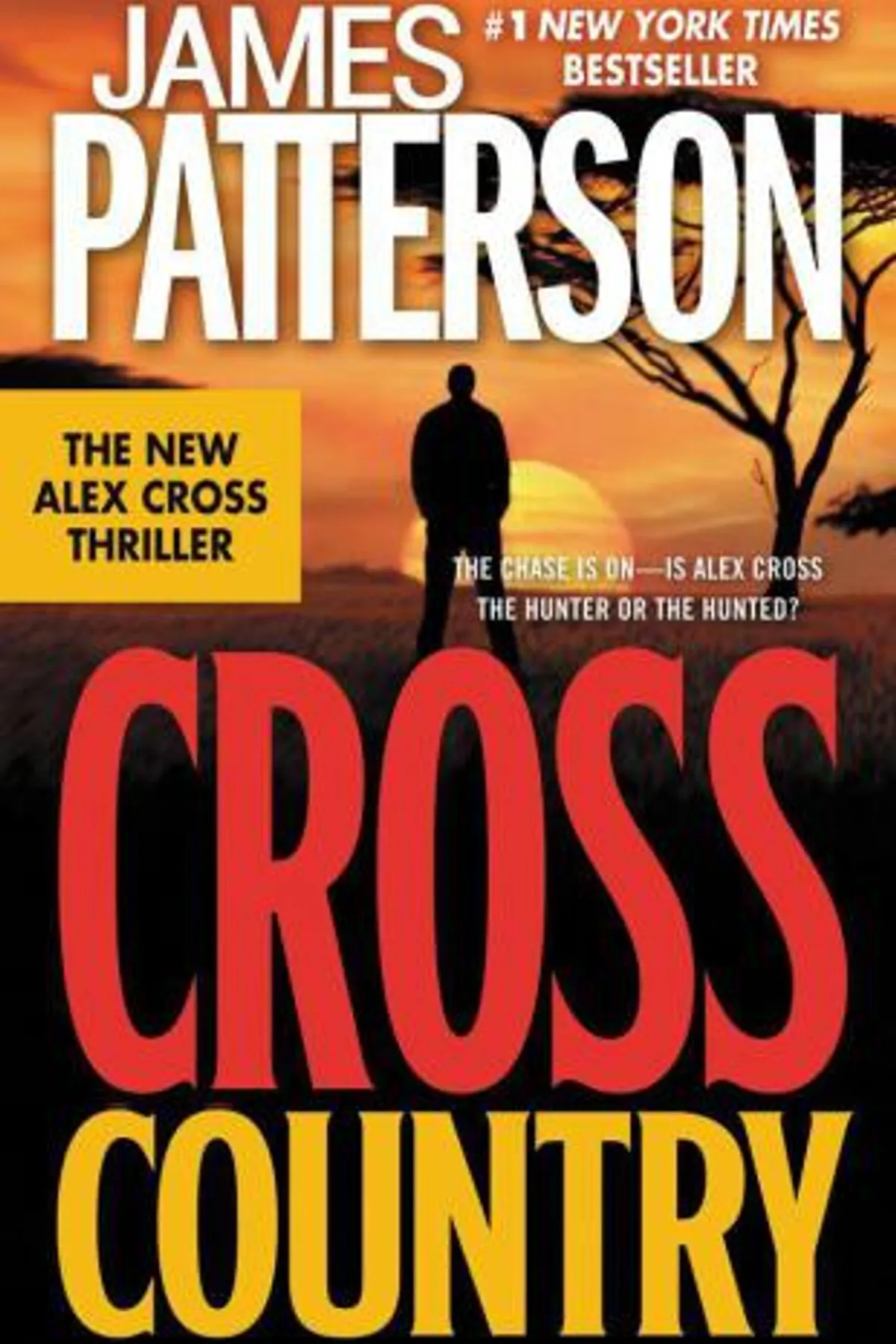 Couverture de « Cross Country (Alex Cross Book 14) »