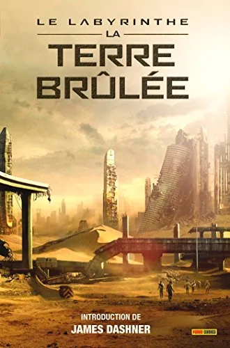 Couverture de « DASHNER 02 - La Terre brûlée »
