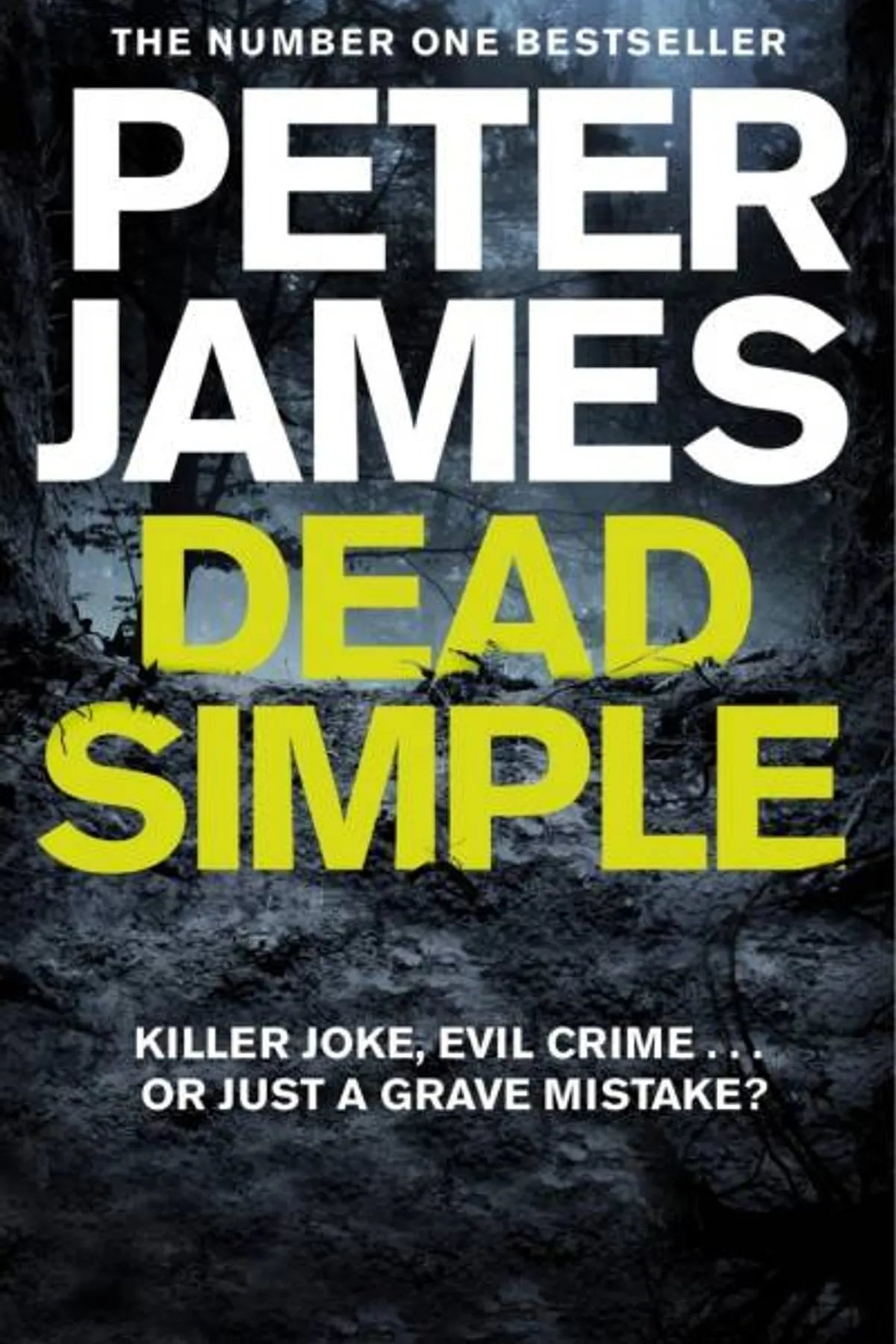 Couverture de « Dead Simple »