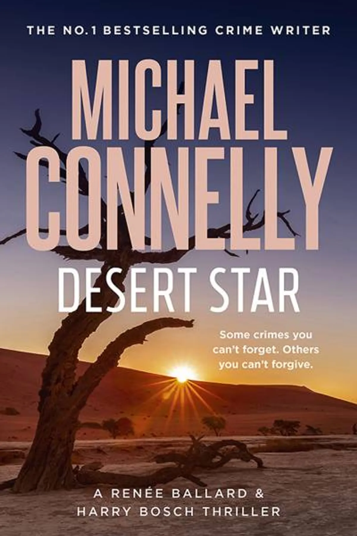 Couverture de « Desert Star »