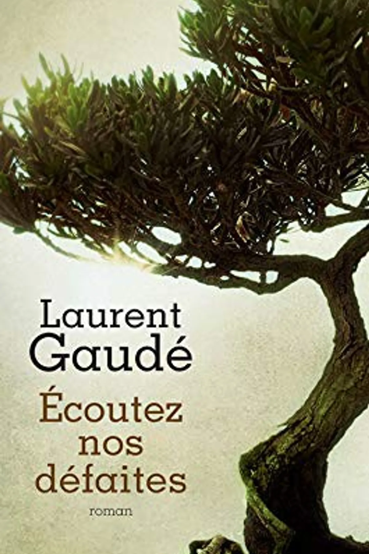 Couverture de « Écoutez nos défaites »