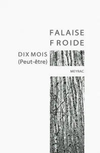 Couverture de « Falaise froide »