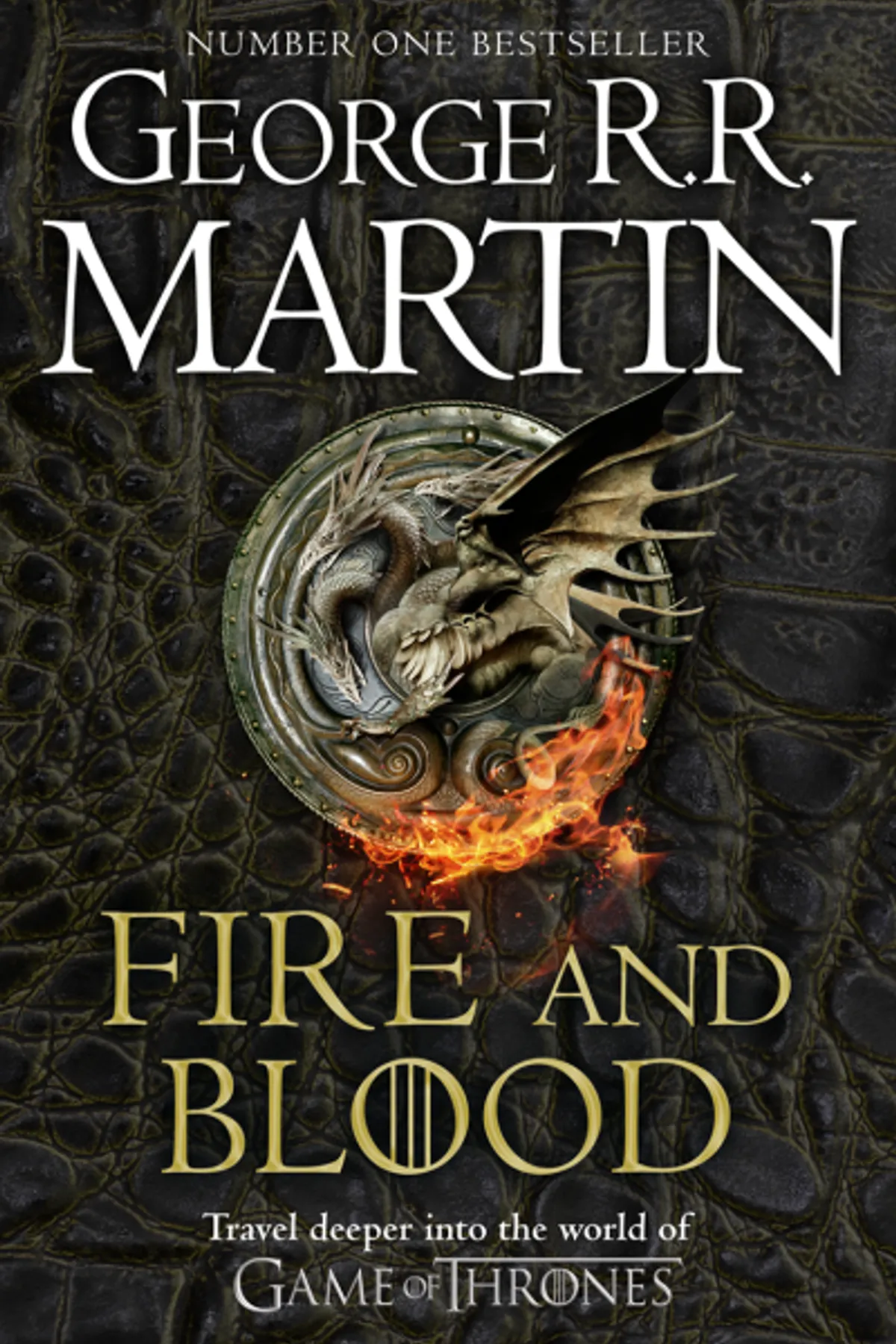 Couverture de « Fire and Blood »
