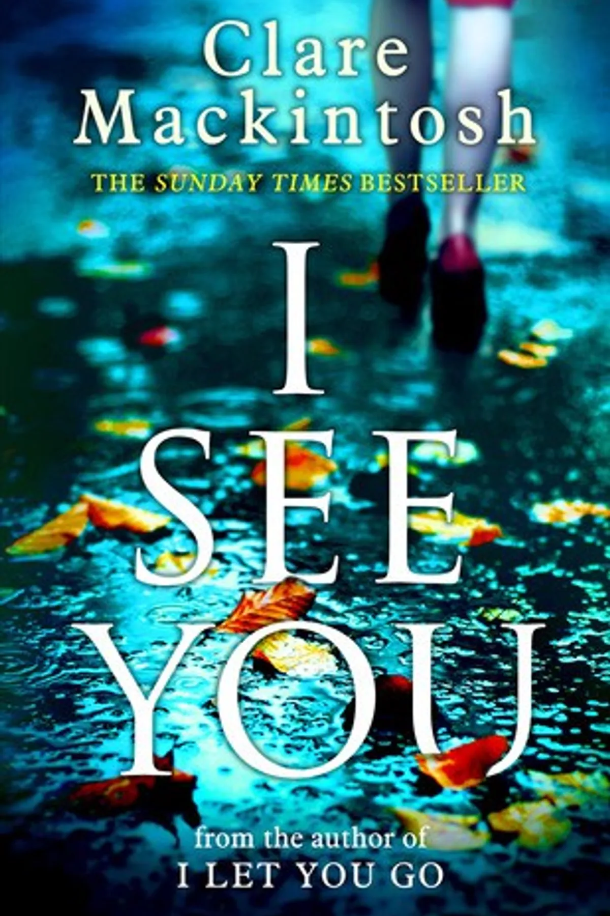 Couverture de « I See You »