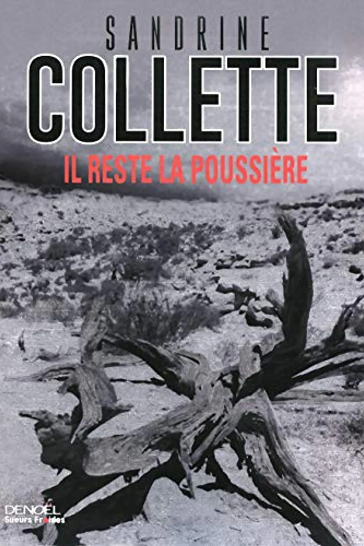 Couverture de « Il reste la poussière »
