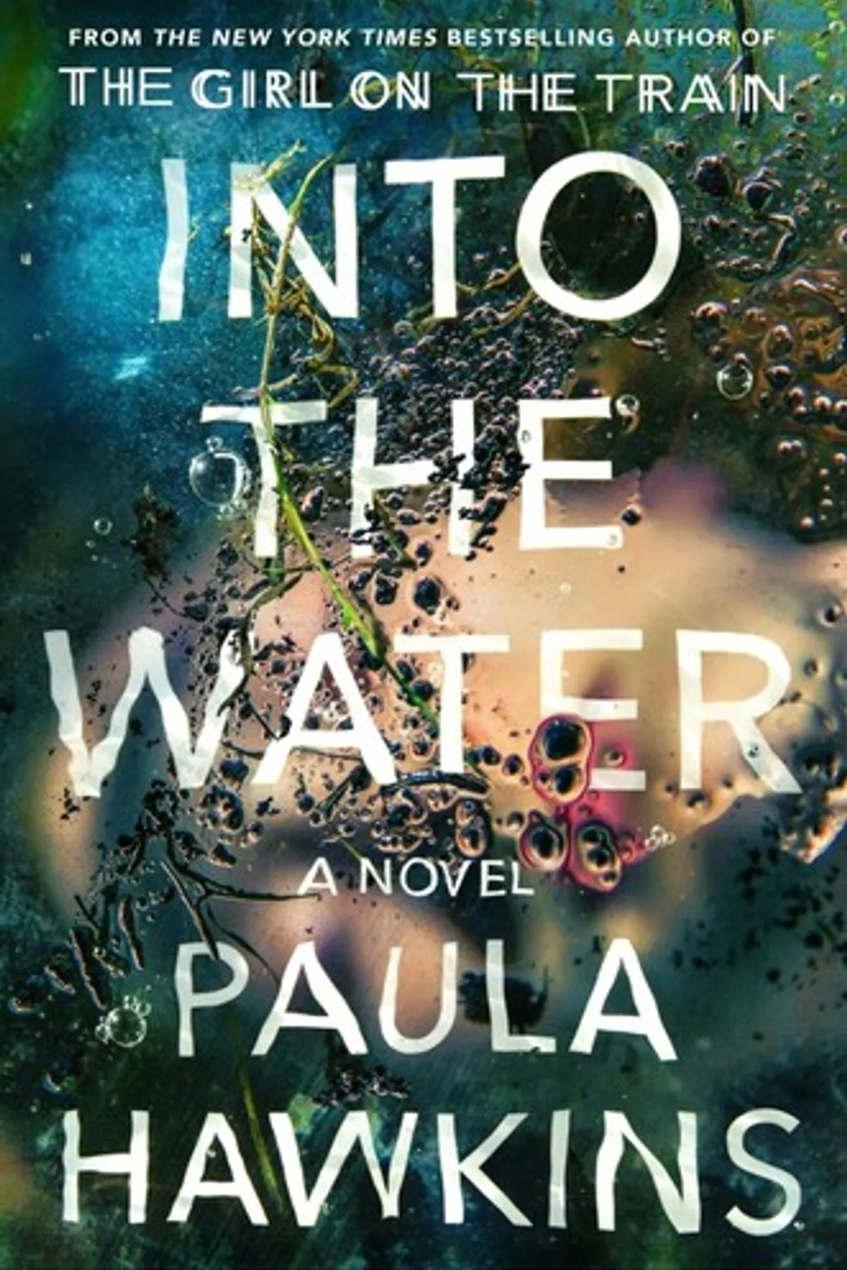 Couverture de « Into the Water »