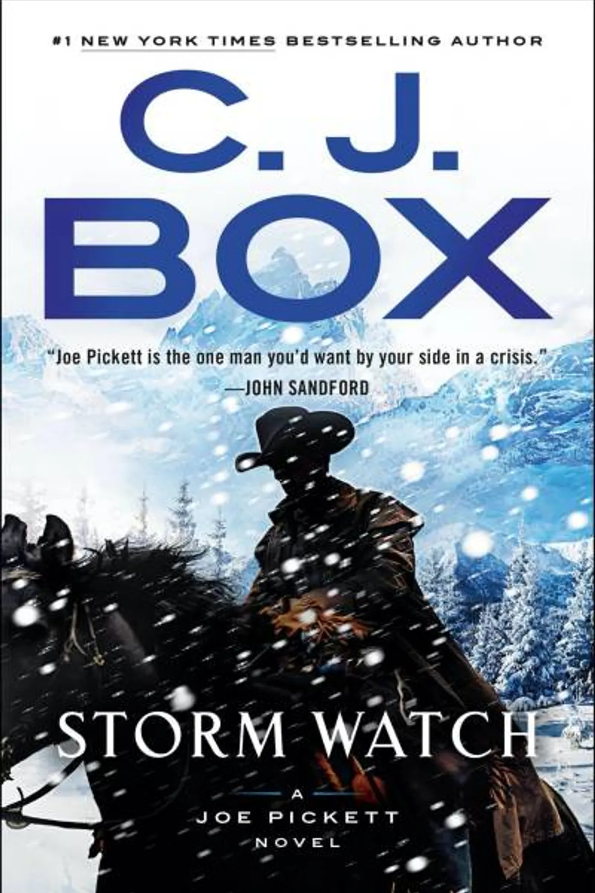 Couverture de « Joe Pickett 23 - Storm Watch »