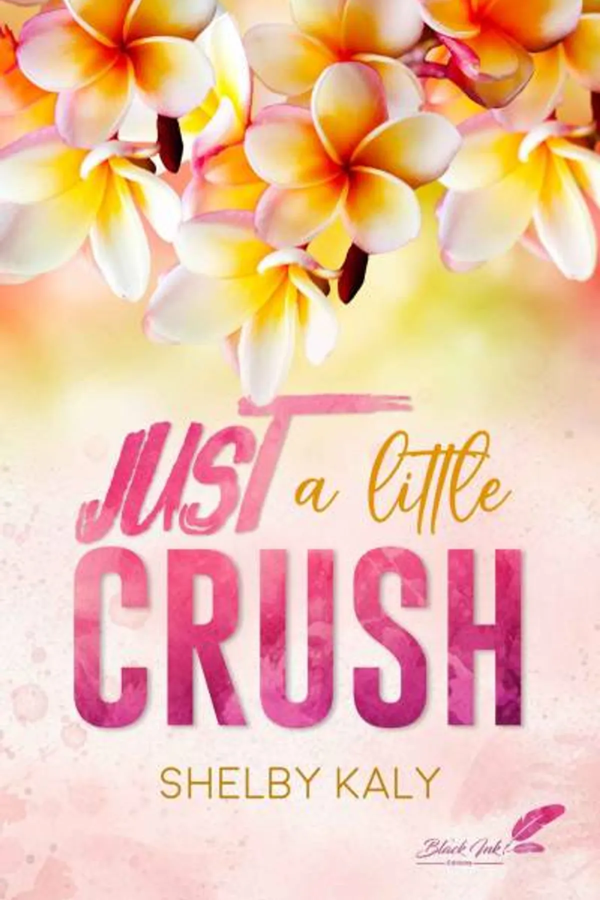 Couverture de « Just a little crush »