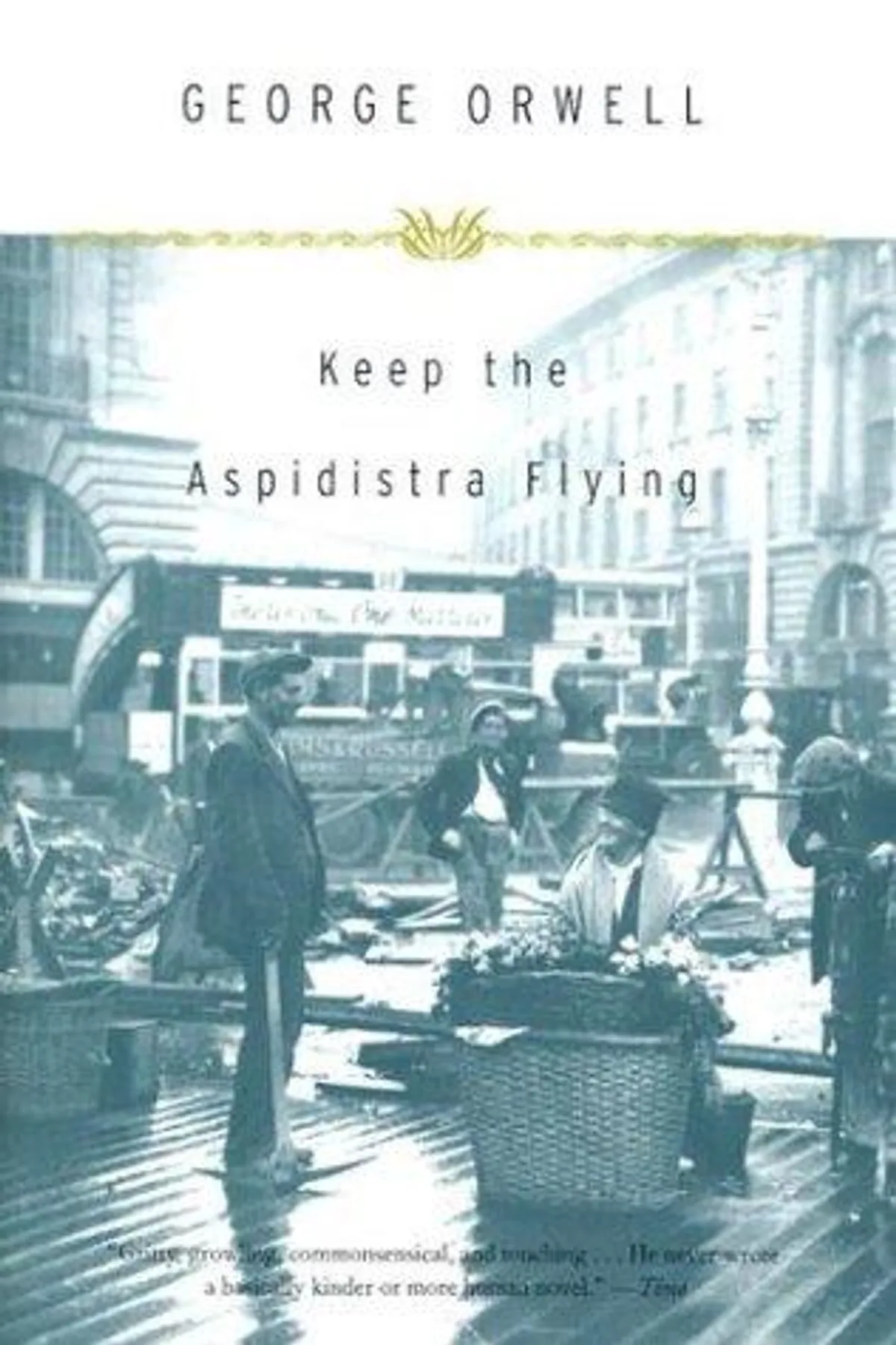 Couverture de « Keep the Aspidistra Flying »