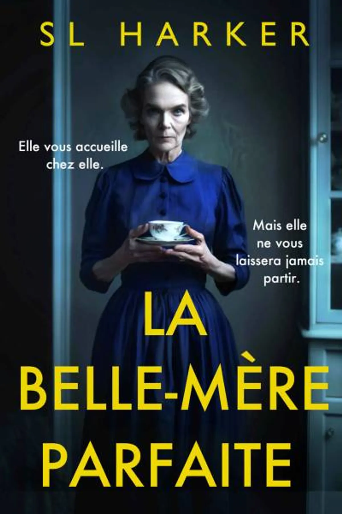 Couverture de « La belle-mère parfaite »
