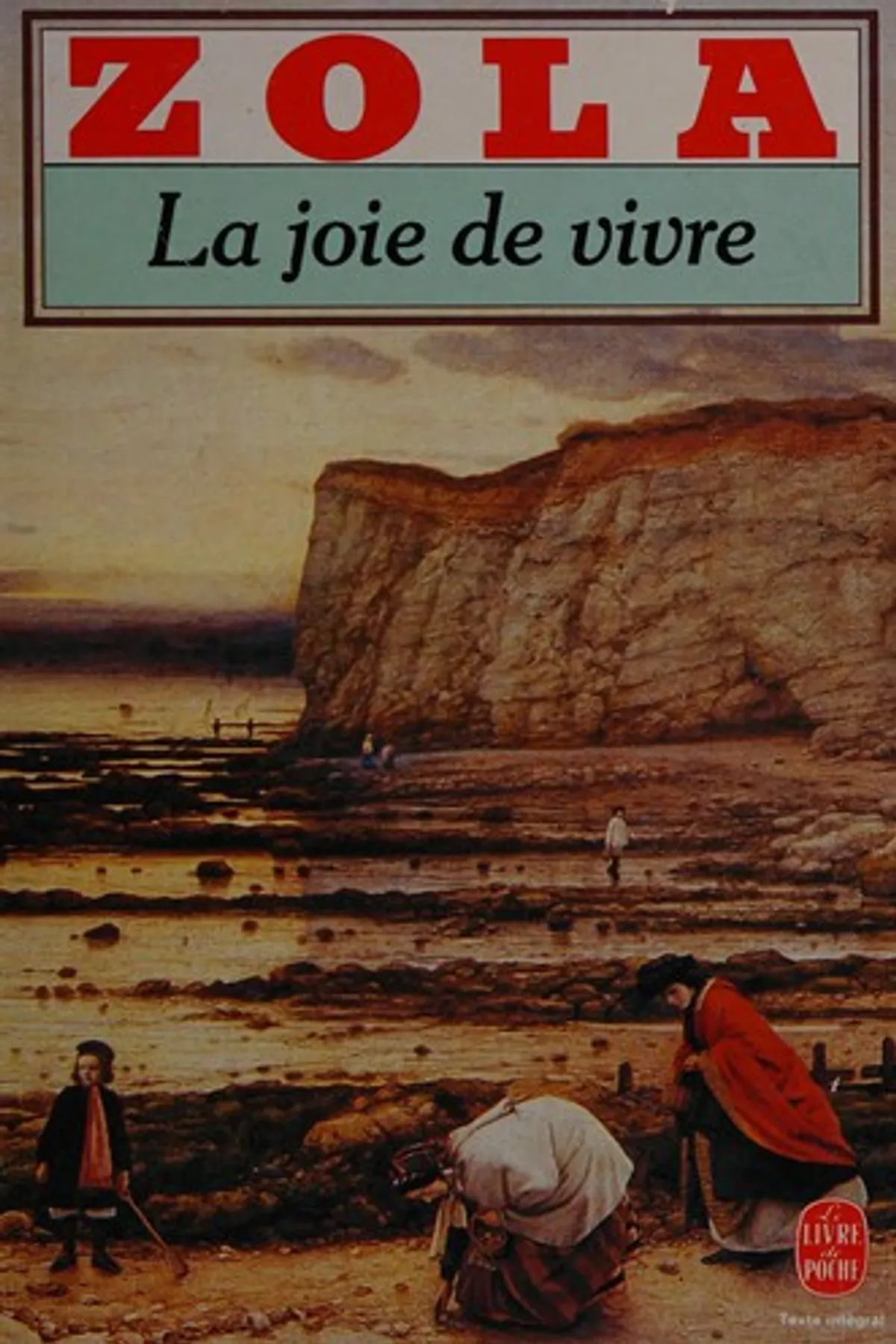 Couverture de « La joie de vivre »