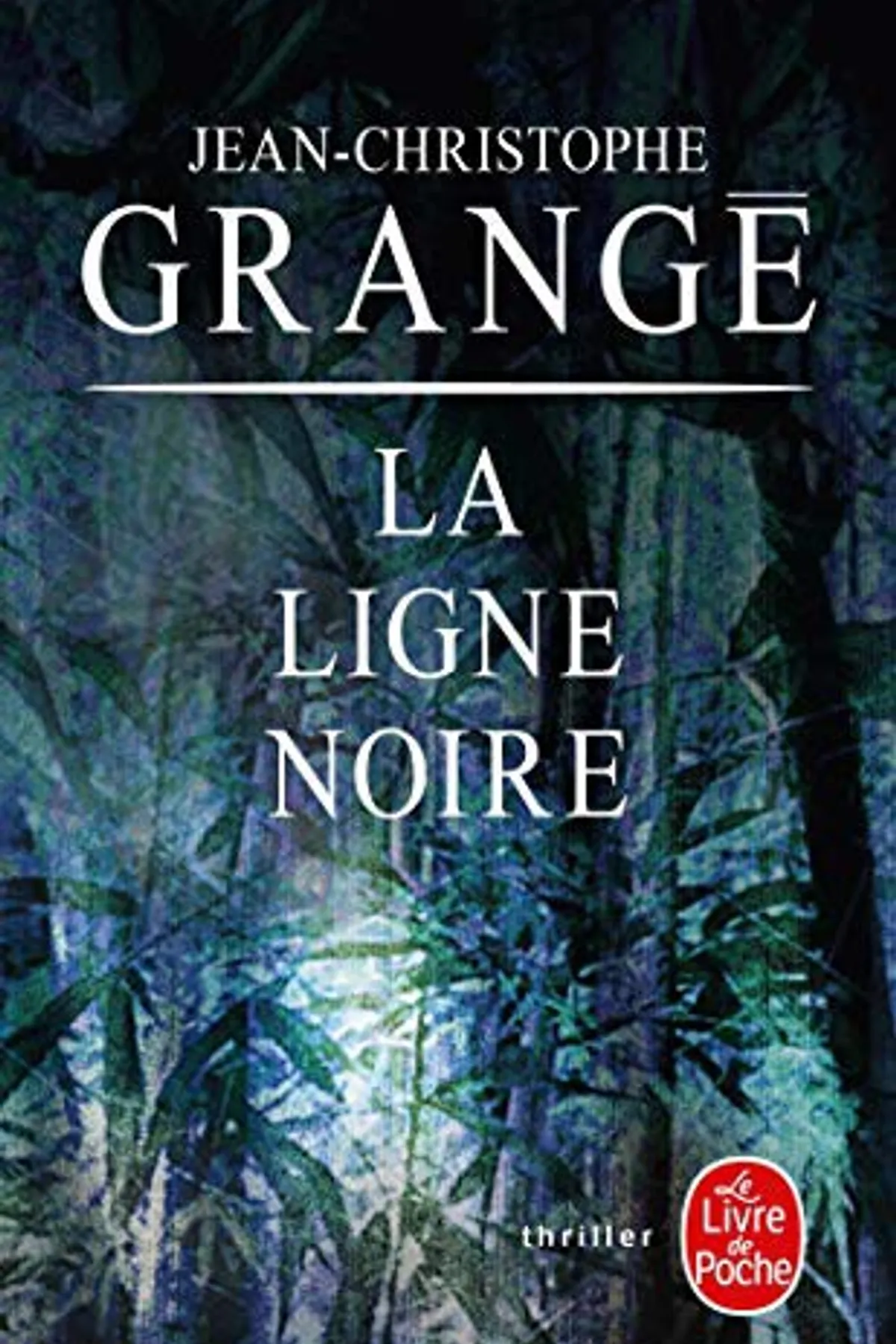 Couverture de « La ligne noire »