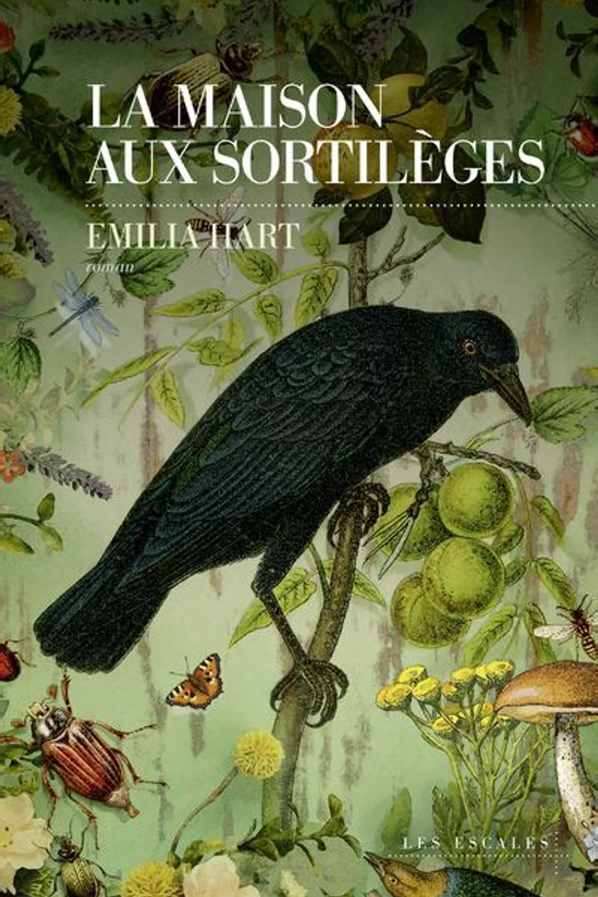 Couverture de « La Maison aux sortilèges »