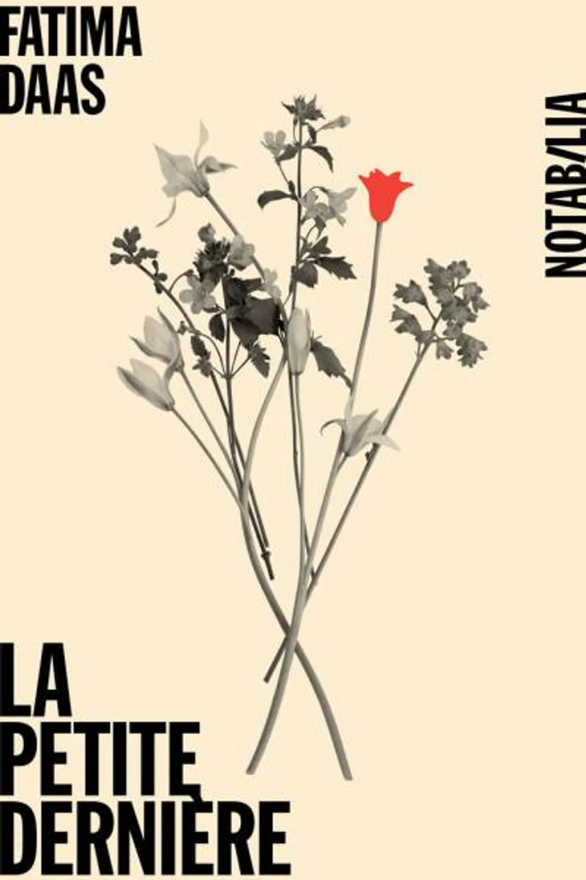 Couverture de « La petite dernière »