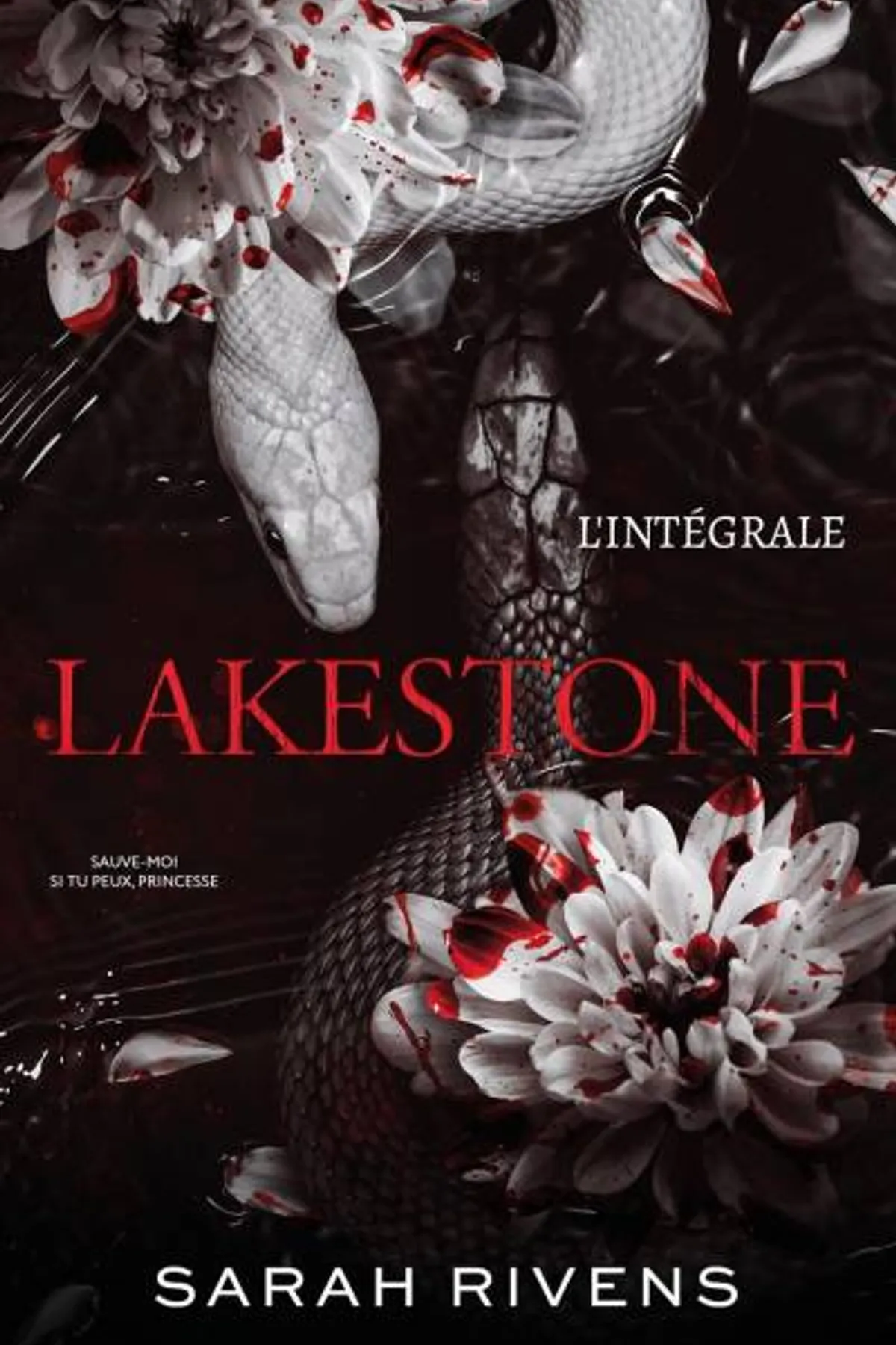 Couverture de « Lakestone - L'intégrale de la duologie »