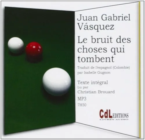 Couverture de « Le Bruit des choses qui tombent »