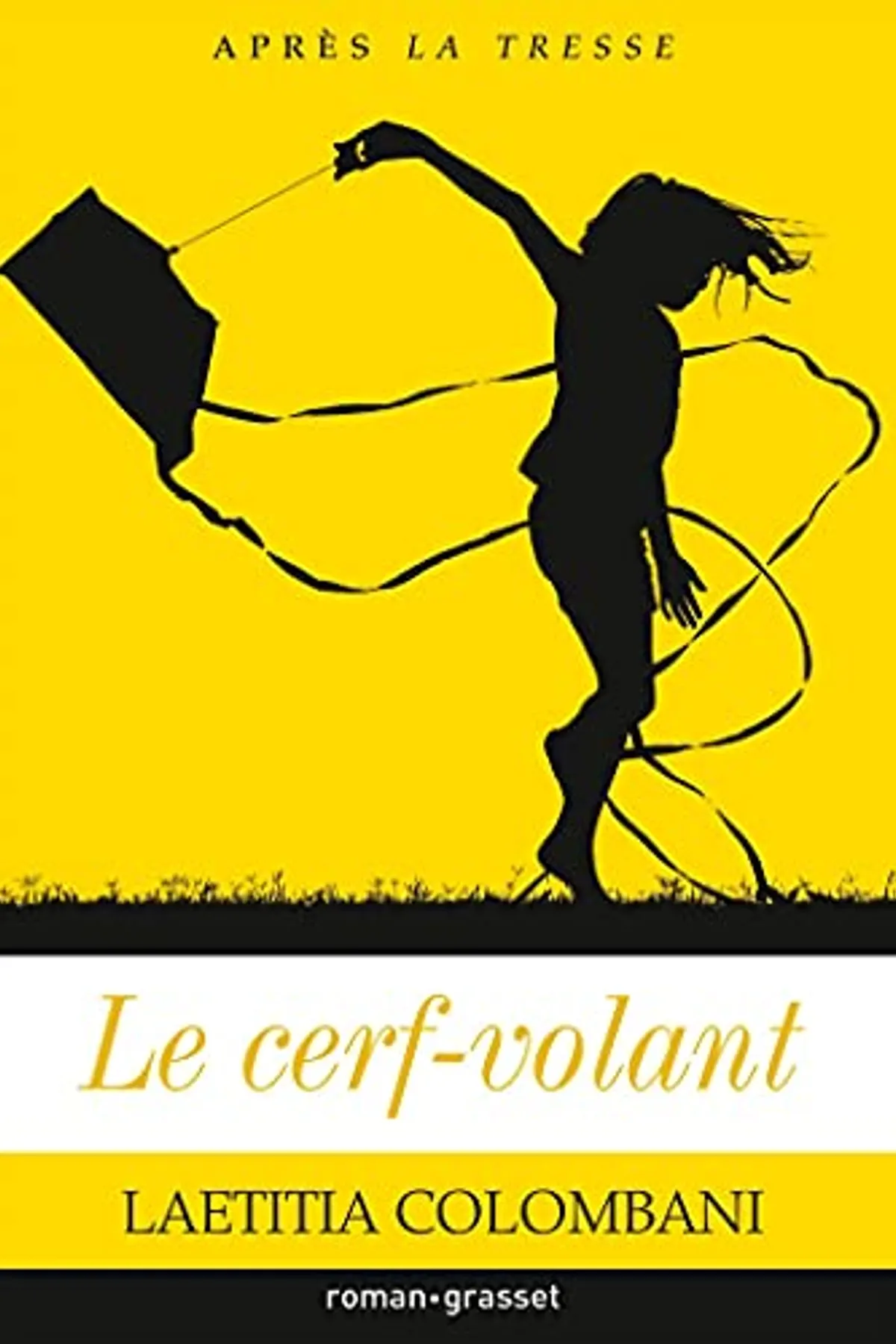 Couverture de « Le cerf-volant »