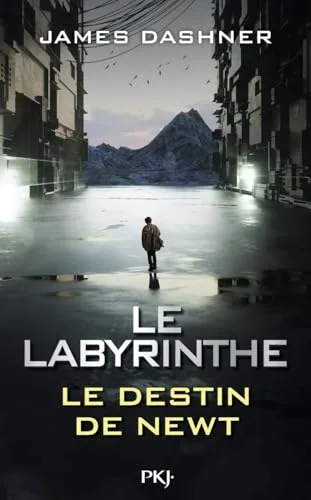 Couverture de « Le Labyrinthe: Le destin de Newt »