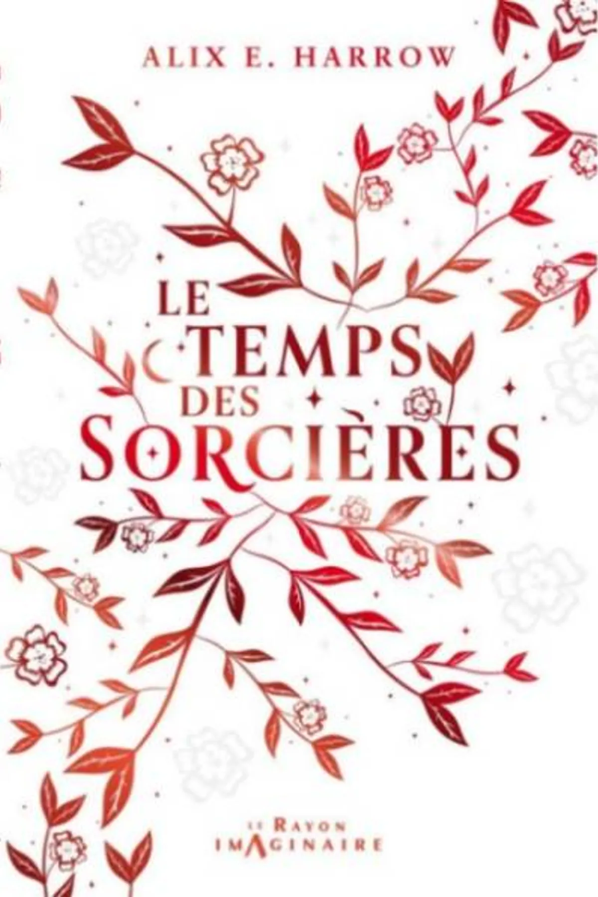 Couverture de « Le temps des sorcières »