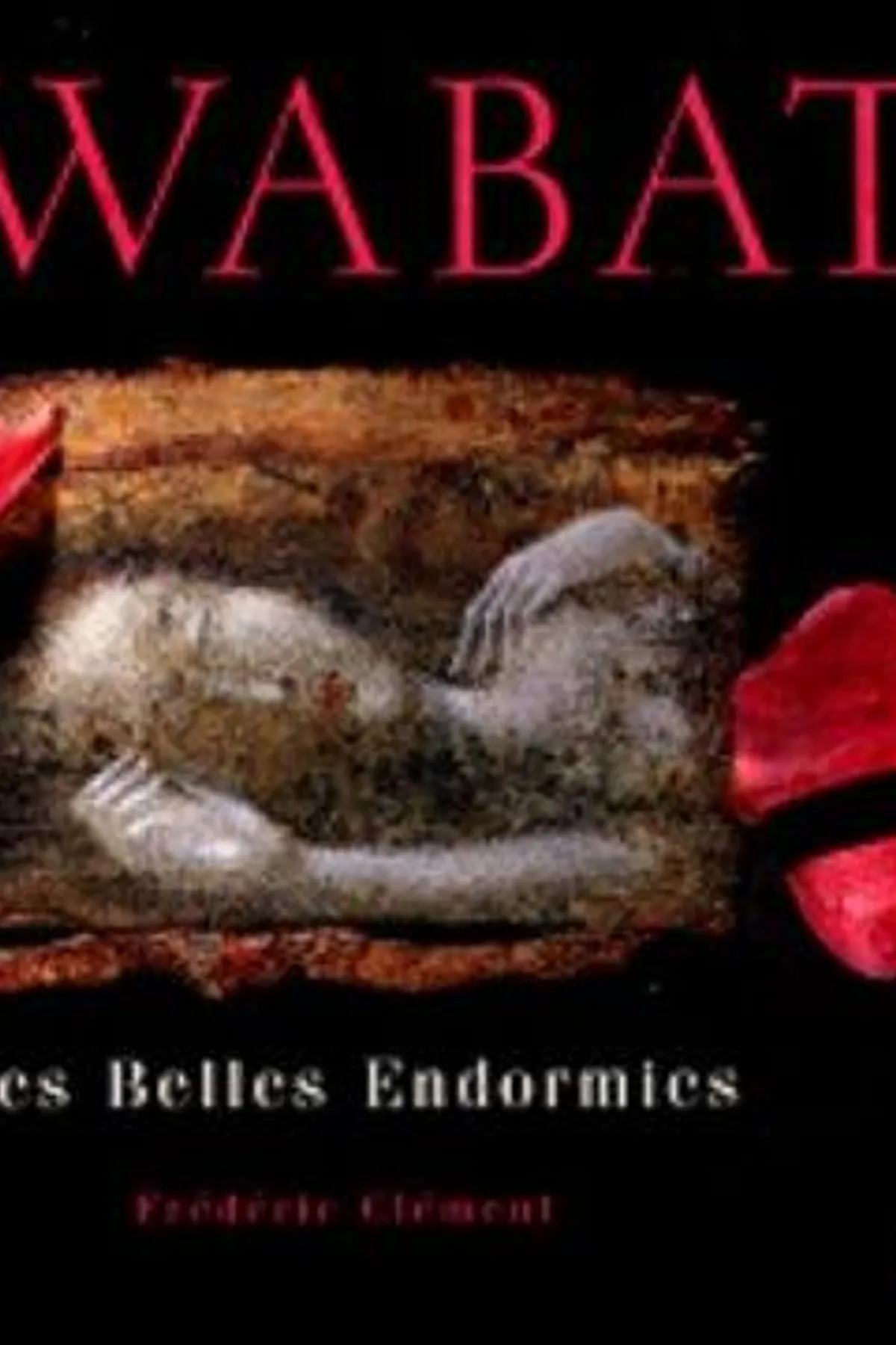Couverture de « Les belles endormies »