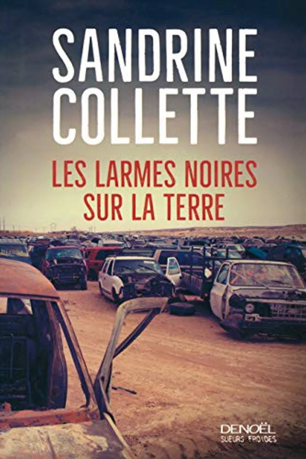 Couverture de « Les Larmes Noires Sur La Terre »