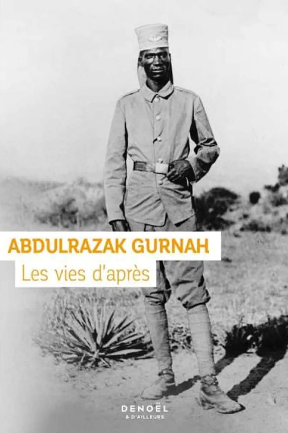 Couverture de « Les vies d'après »