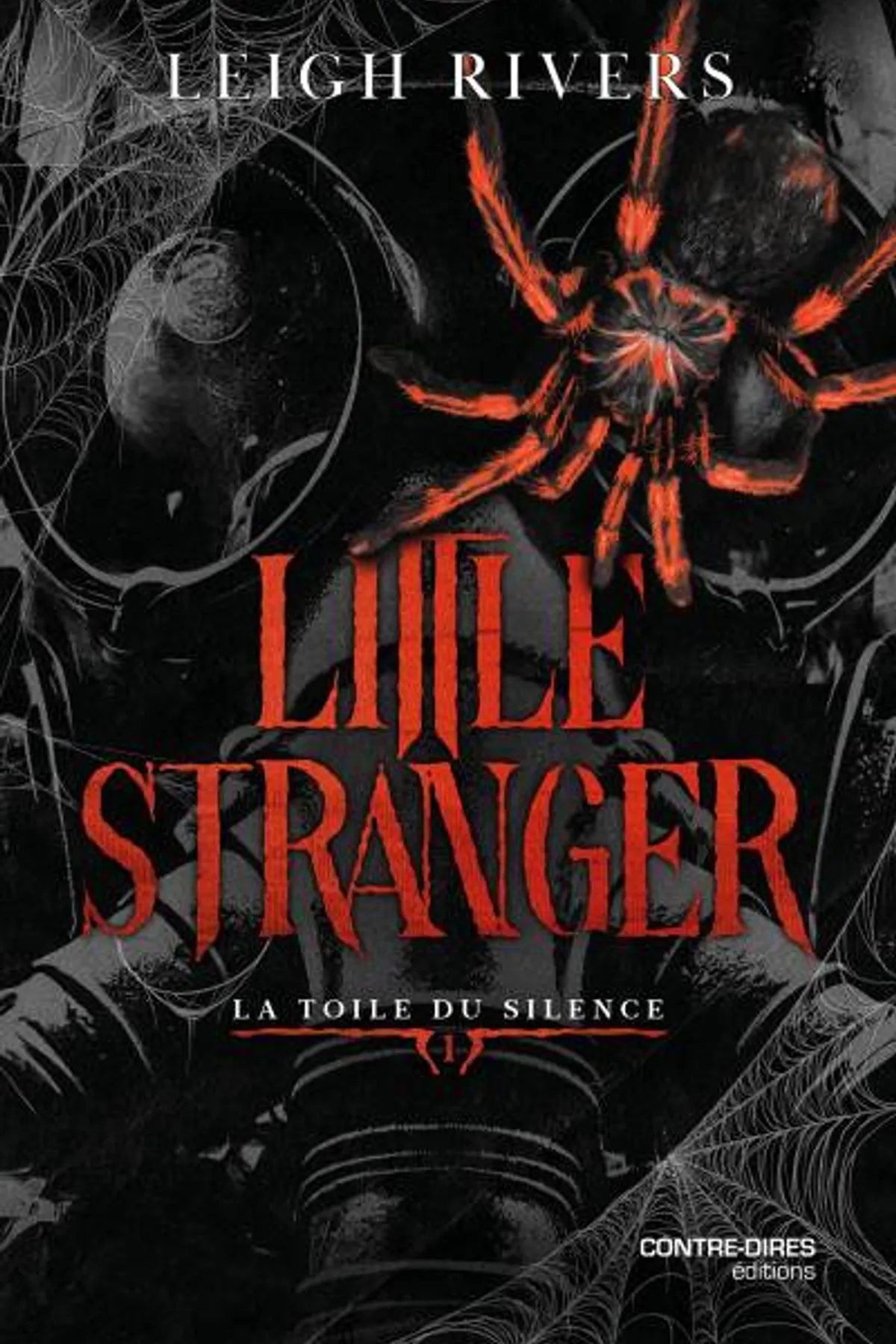 Couverture de « Little Stranger »