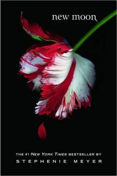 Couverture de « New Moon »