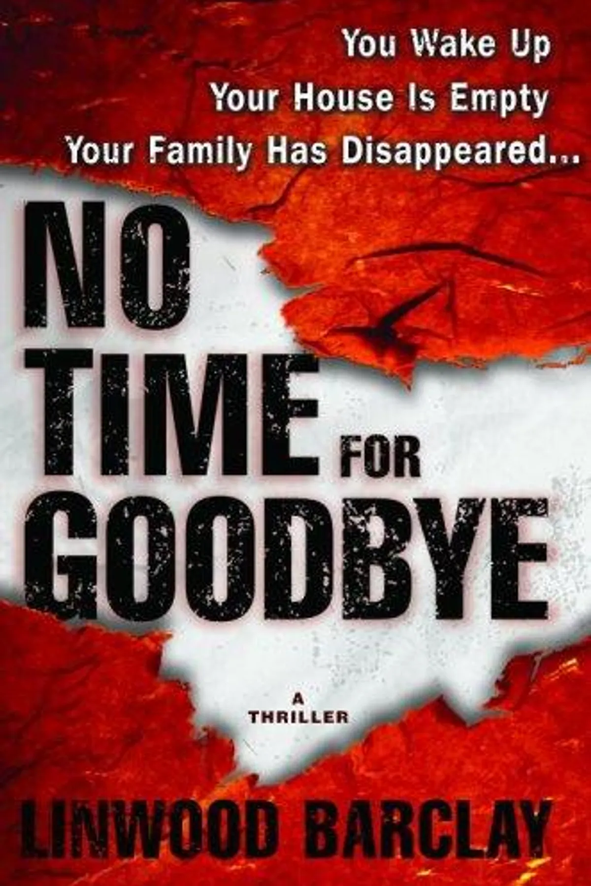 Couverture de « No Time for Goodbye »
