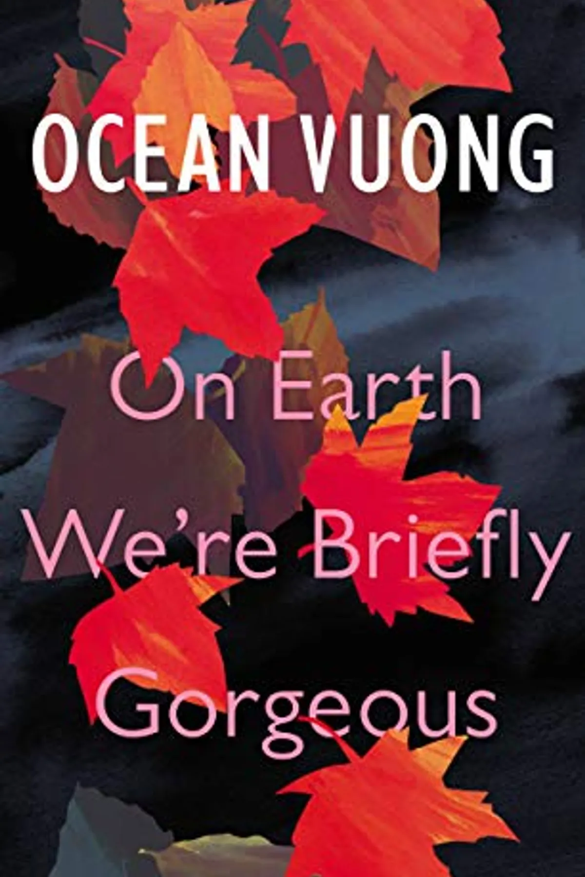 Couverture de « On Earth We're Briefly Gorgeous »