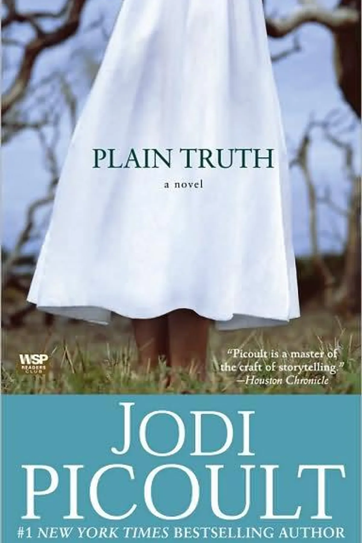 Couverture de « Plain Truth »