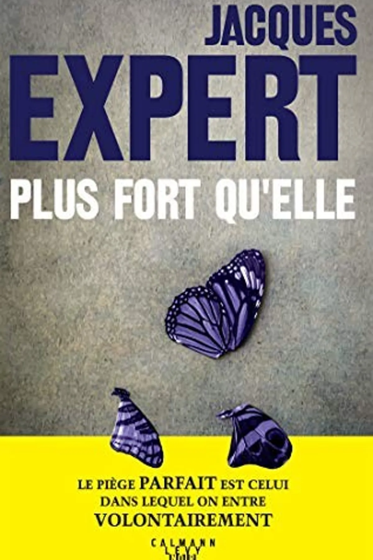 Couverture de « Plus fort qu'elle »