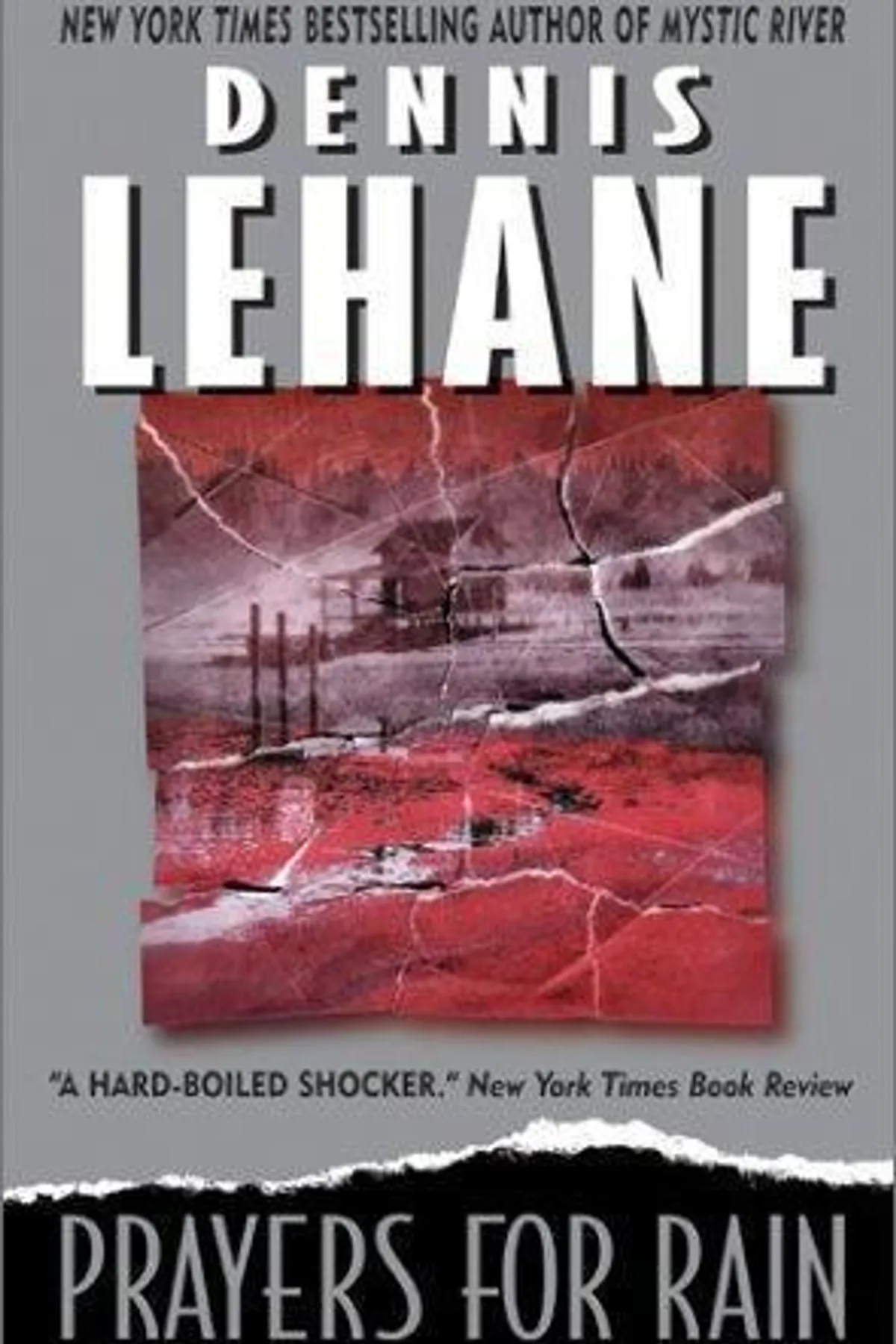 Couverture de « Prayers for Rain »